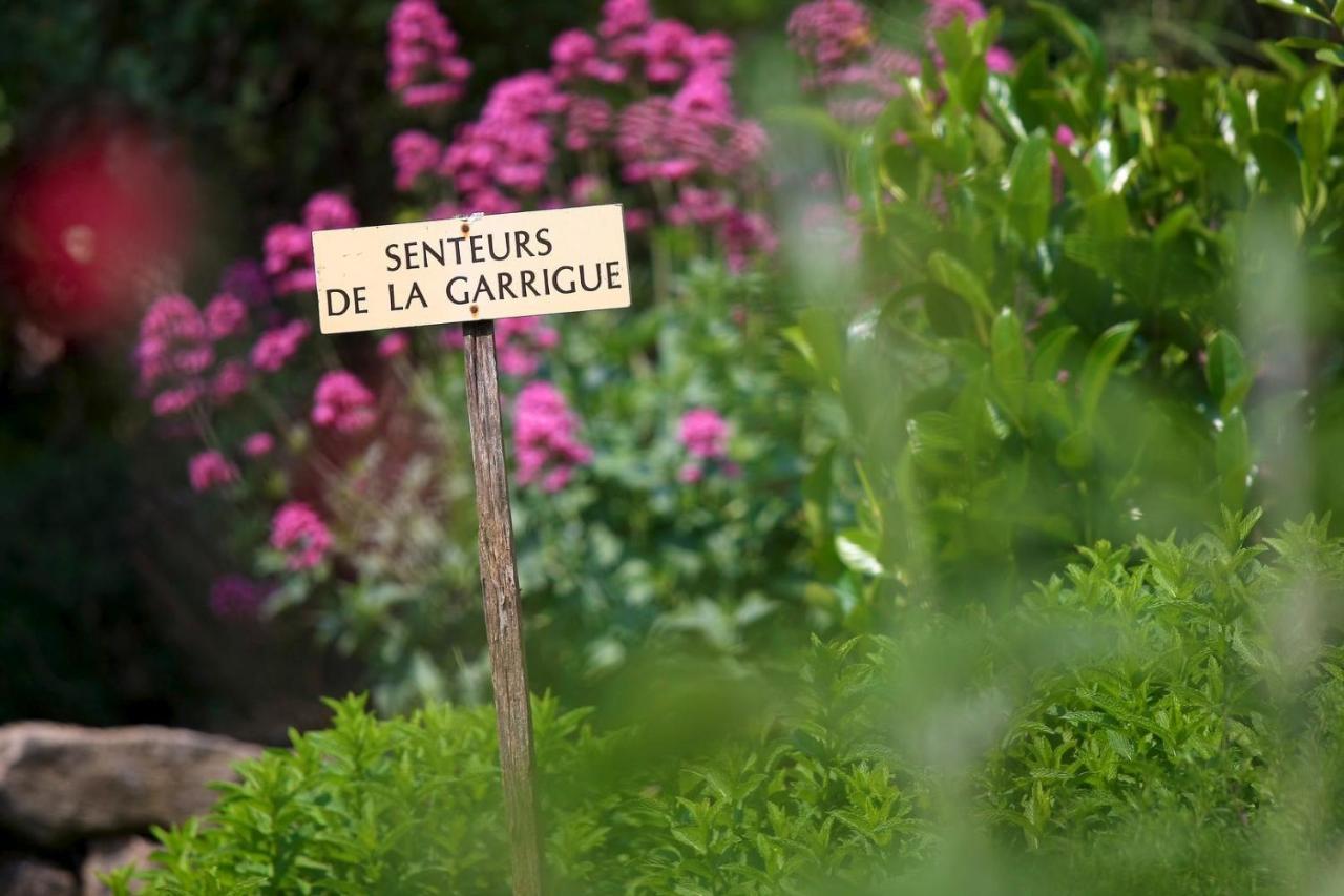 Maison De Village La Clemaline Figanieres Exterior photo